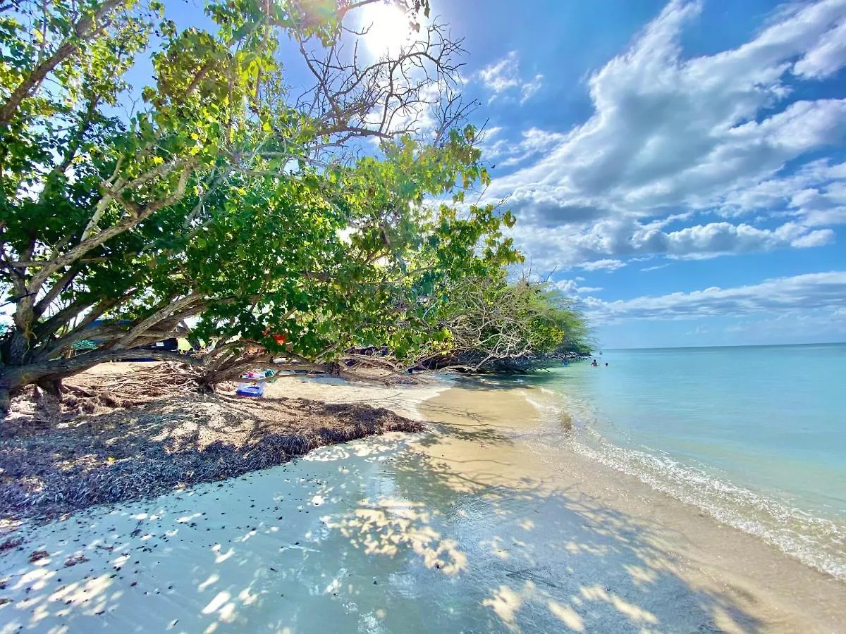 Playa Rustica Off Road Beach Campground - 4X4 Vehicle Access 호텔 보케론 럭셔리텐트