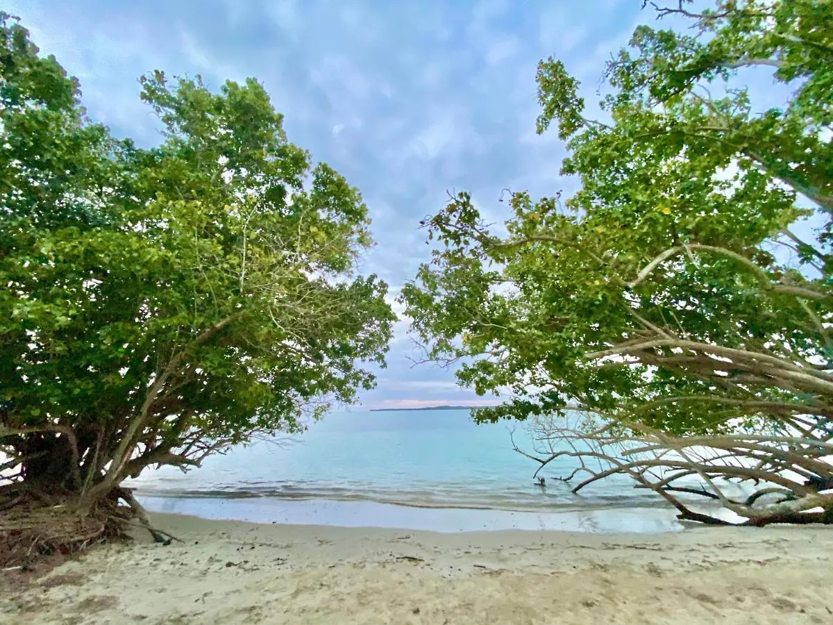 Playa Rustica Off Road Beach Campground - 4X4 Vehicle Access 호텔 보케론